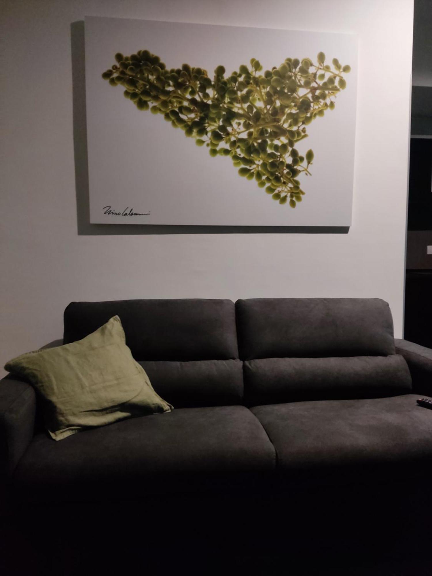 Okto Apartments 밀라초 외부 사진